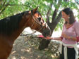 horse riding